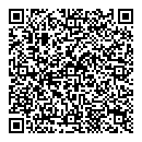 QR код "Звездочка"