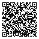 QR код "Madonna"