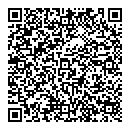 QR код "Domino+"