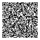 QR код "Профессионал"