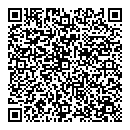QR код "Камелот"