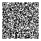 QR код "Ализе"
