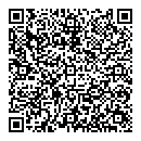 QR код "Глобус"