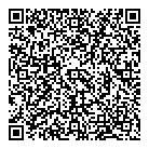 QR код "Фейерверки"