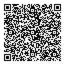 QR код "Звездный"