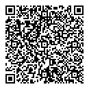 QR код "Аэлита"