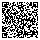 QR код "СССР"