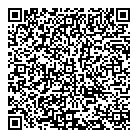 QR код "Кот да Винчи"