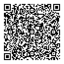 QR код "Спутник"