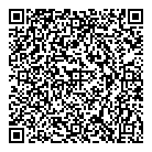 QR код "Железяка"