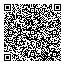 QR код "Пегас"