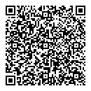 QR код "Леда"