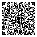 QR код "Блеск"