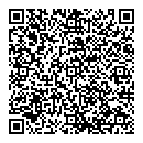 QR код "Санги-стиль"