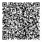 QR код "Звездочка"