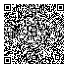 QR код "Дельфин"