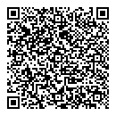 QR код "Биплан"