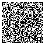 QR код "Виниловый город"
