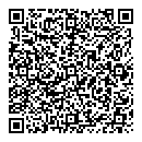 QR код "Звёздочка"