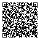 QR код "Гудвин"