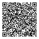 QR код "Эльза"