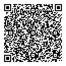 QR код "Шайба"
