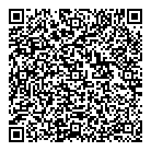 QR код "Профессионал"