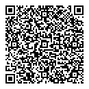 QR код "QIWI"