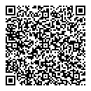 QR код "QIWI"