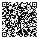 QR код "Домино"