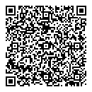QR код "Shine"