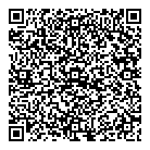 QR код "Звездный"
