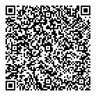QR код "Вьюга"