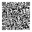 QR код "VKing"
