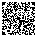 QR код "Lego"
