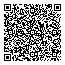 QR код "Чайка"