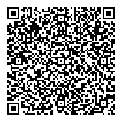 QR код "Шайба"