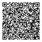 QR код "Профессионал"