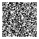 QR код "Эльза"