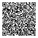 QR код "Ториус"