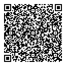 QR код "Брикс"