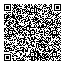 QR код "РЯЗ-Аудит"