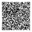 QR код "Мост"