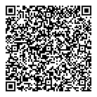 QR код "ДНС"