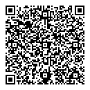 QR код "Элекснет"