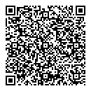 QR код "QIWI"