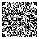 QR код "Silverbag"