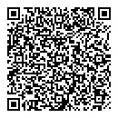 QR код "Алиса"