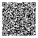 QR код "Domini"