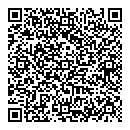 QR код "Луна-парк"